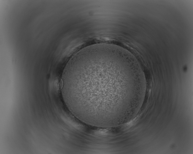 X0000089920086200707061028