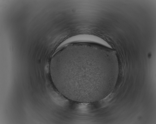 X0000089920090200707061028