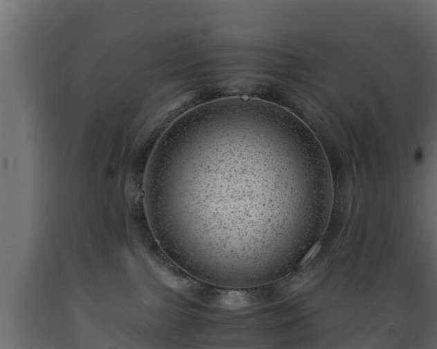 X0000089920091200707061028