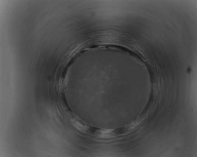 X0000089920093200707061028