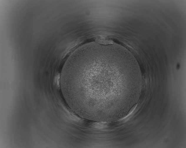 X0000089920094200707061028