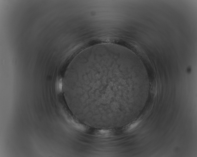 X0000089920095200707061028