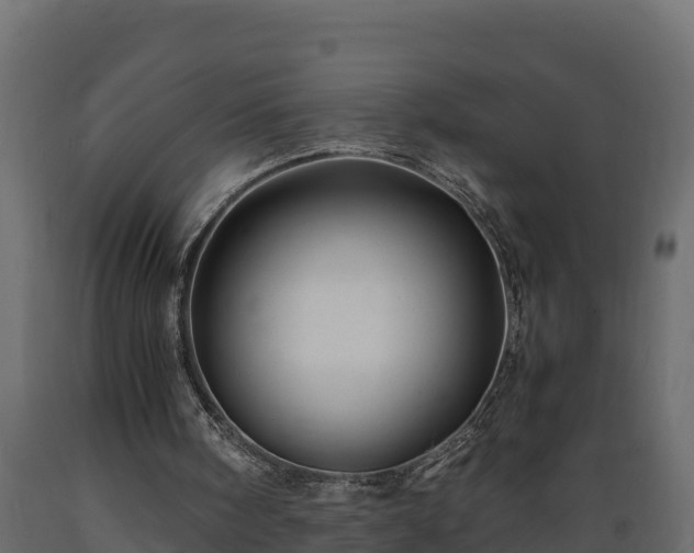 X0000089920098200707061027