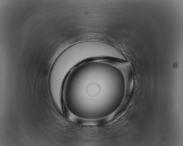 X0000089920099200707061027