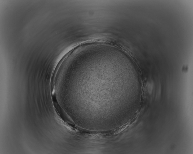X0000089920100200707061027