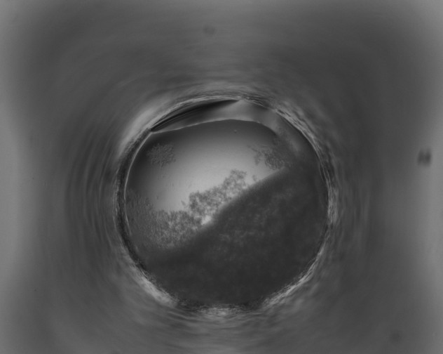 X0000089920101200707061027
