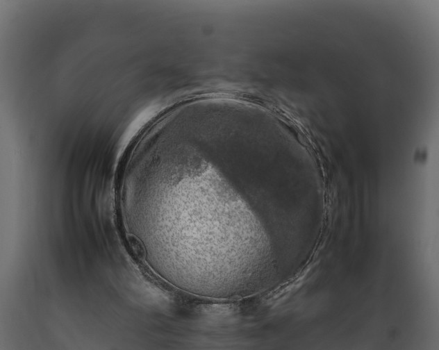 X0000089920102200707061027