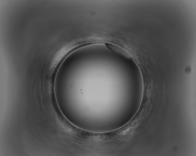 X0000089920103200707061027