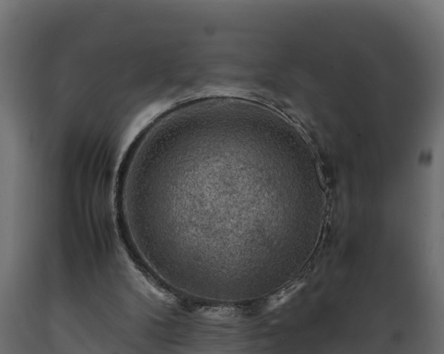 X0000089920104200707061027