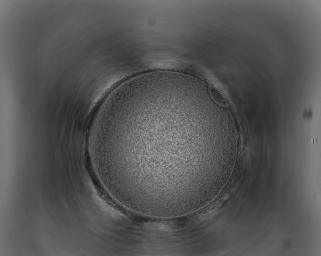 X0000089920106200707061027