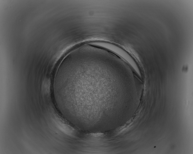 X0000089920108200707061027