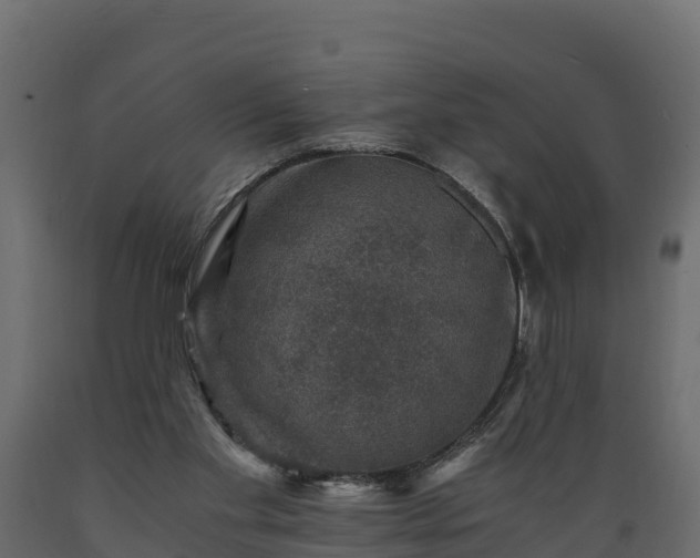 X0000089920109200707061027