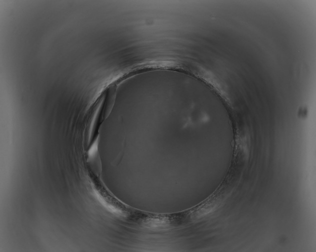X0000089920110200707061027