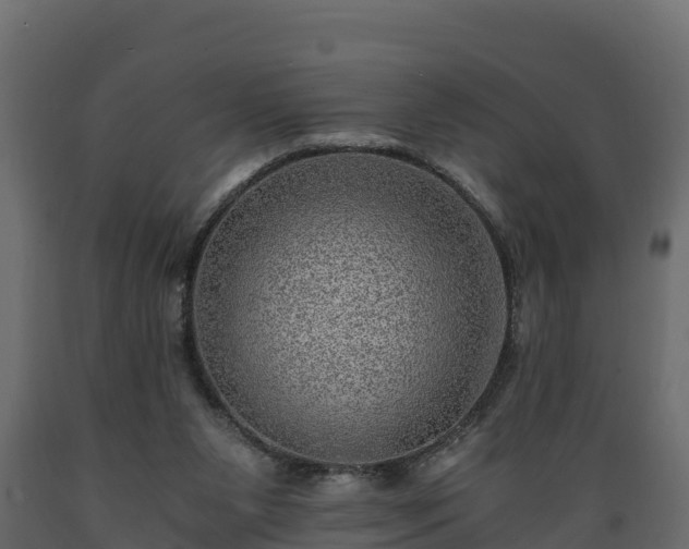 X0000089920111200707061027
