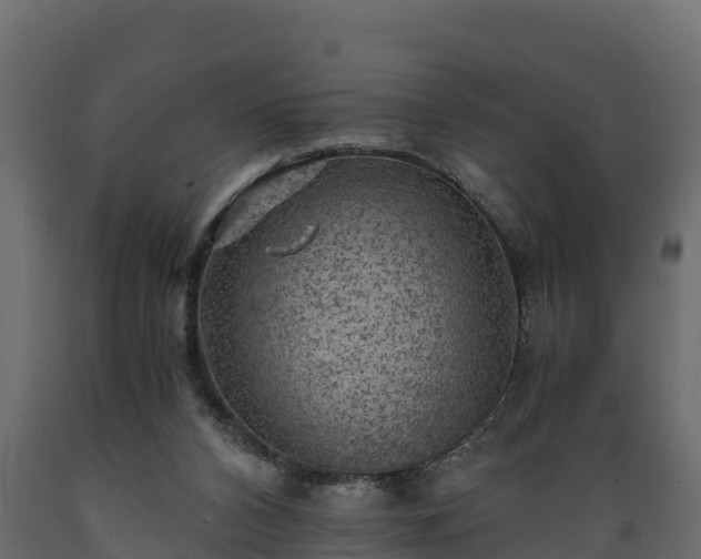 X0000089920112200707061027