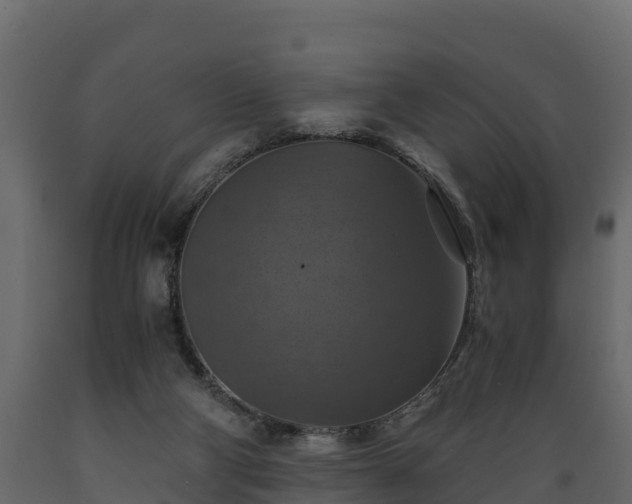 X0000089920114200707061027