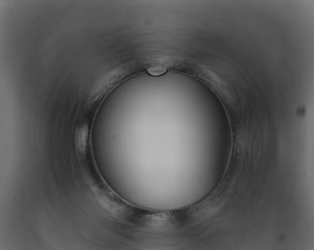 X0000089920118200707061027