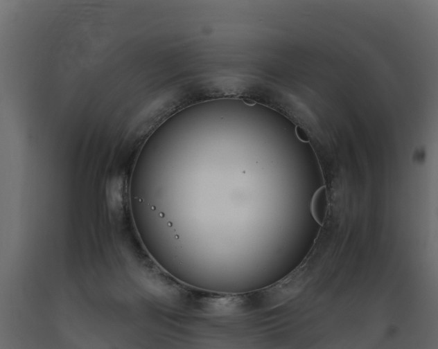 X0000089920122200707061027