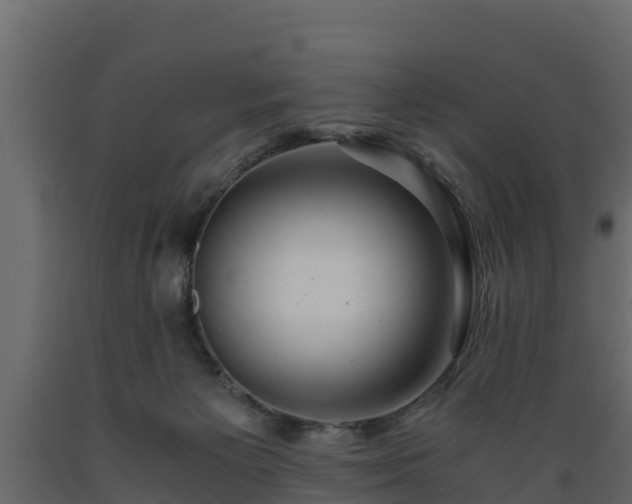 X0000089920125200707061027