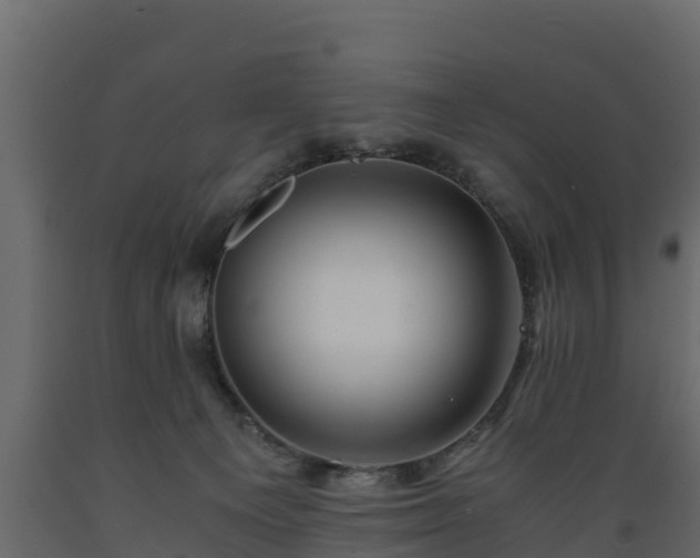 X0000089920129200707061027
