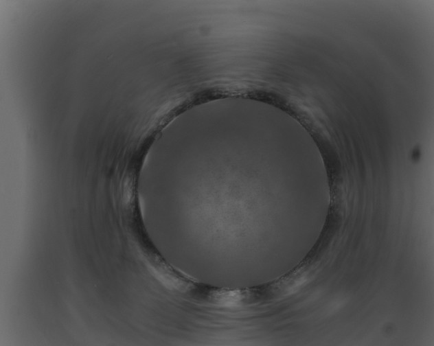 X0000089920131200707061027