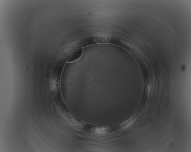 X0000089920134200707061027
