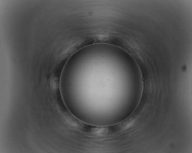 X0000089920135200707061027