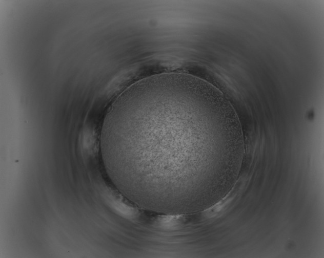 X0000089920136200707061027