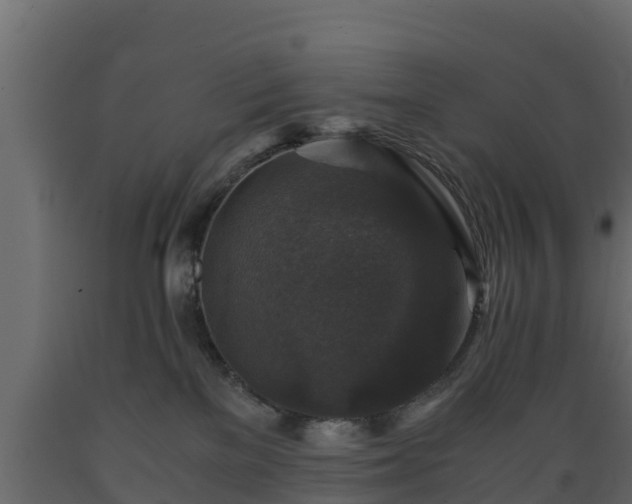 X0000089920137200707061027