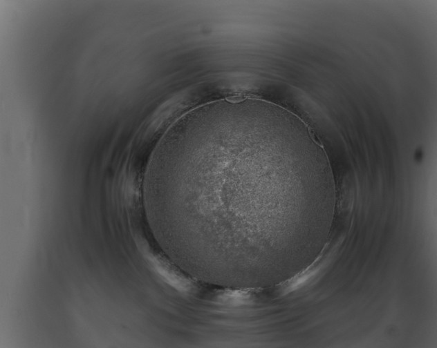 X0000089920140200707061026