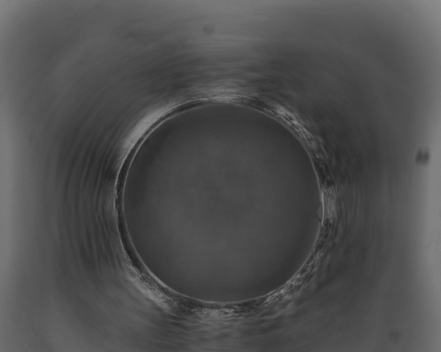 X0000089920147200707061026