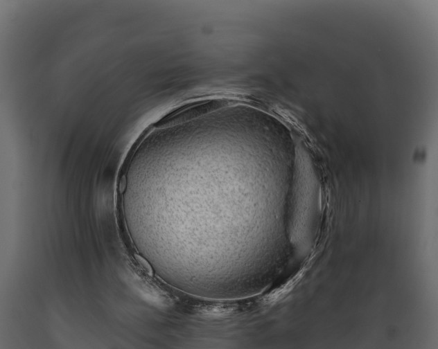 X0000089920148200707061026