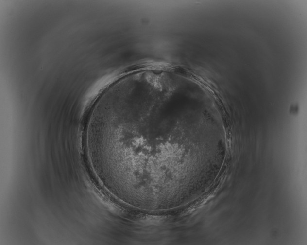 X0000089920149200707061026