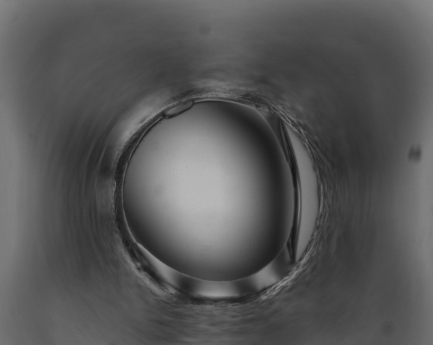 X0000089920150200707061026
