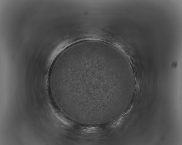X0000089920151200707061026