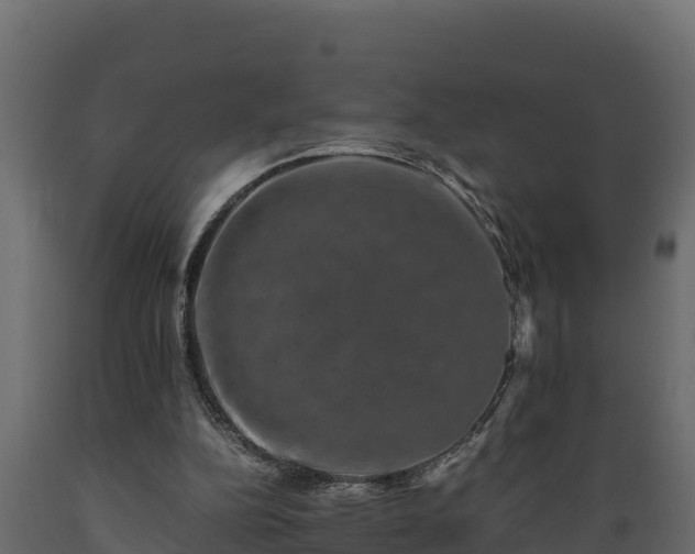 X0000089920152200707061026
