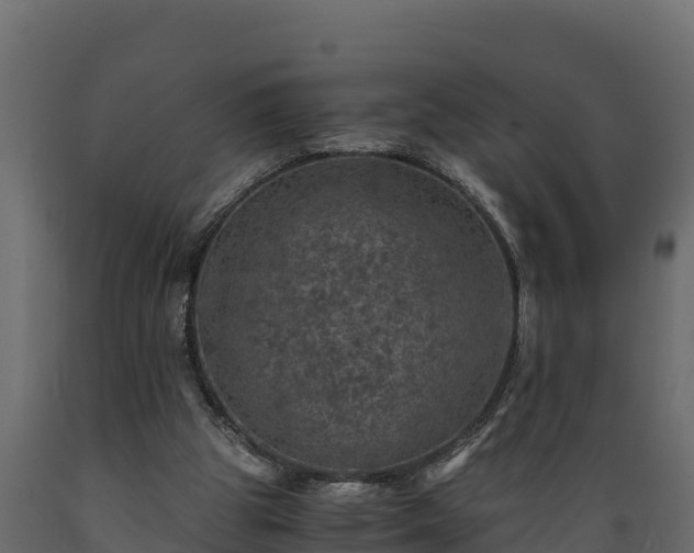 X0000089920153200707061026