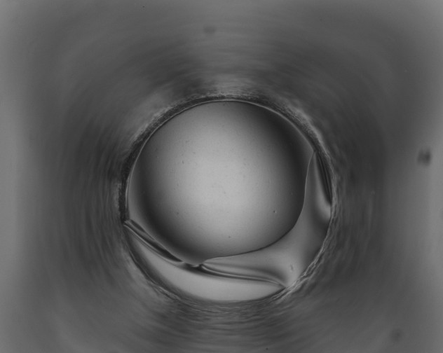 X0000089920154200707061026
