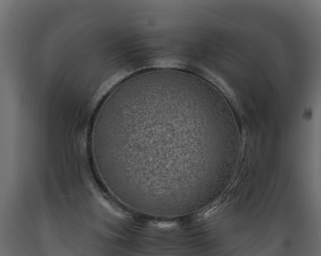 X0000089920155200707061026