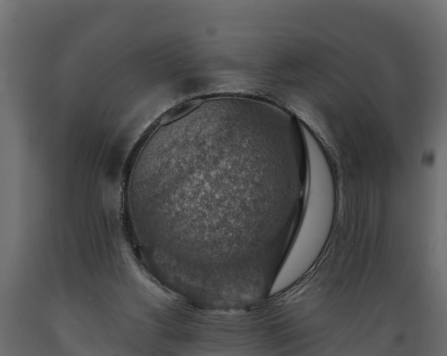 X0000089920156200707061026