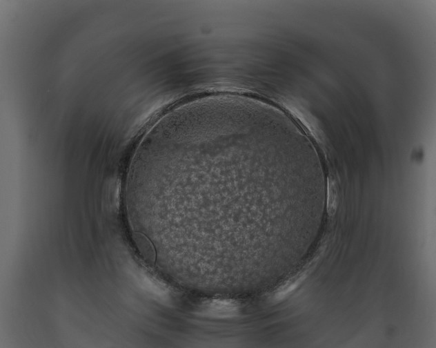 X0000089920157200707061026