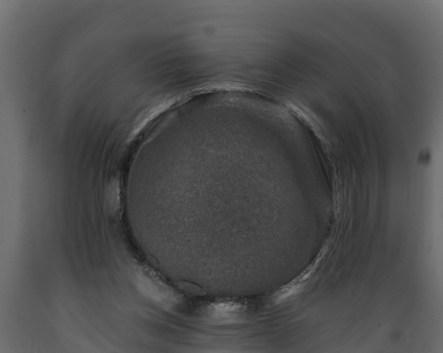 X0000089920158200707061026