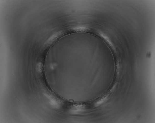 X0000089920161200707061026