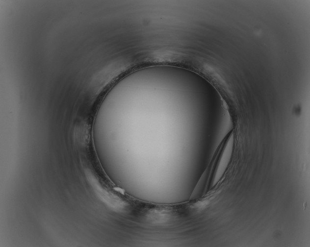 X0000089920164200707061026