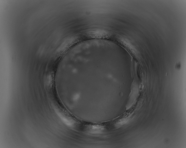 X0000089920165200707061026
