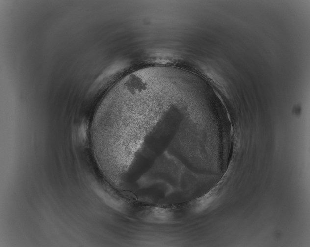 X0000089920166200707061026