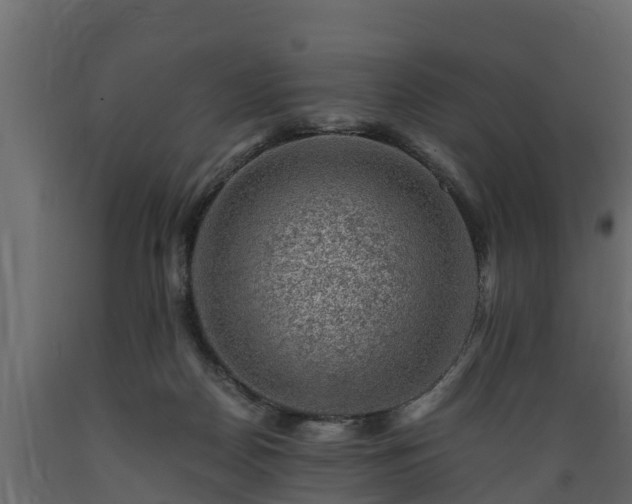 X0000089920170200707061026