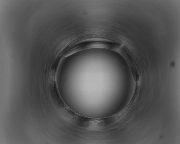 X0000089920172200707061026