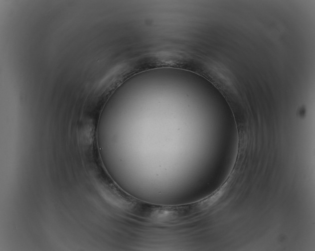 X0000089920174200707061026