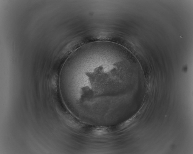 X0000089920175200707061026